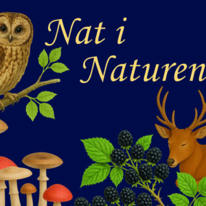Nat i Naturen