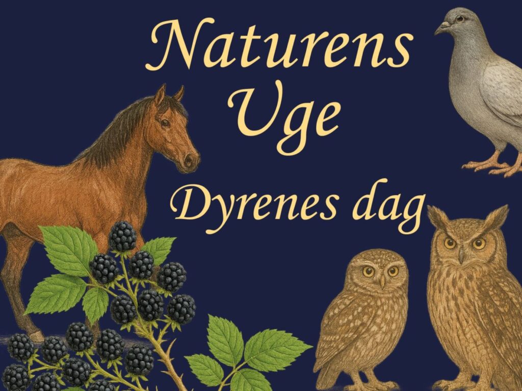 Dyrenes Dag Naturens Uge