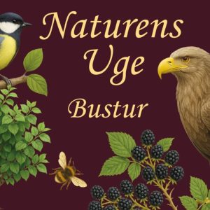 Naturens Uge Bustur