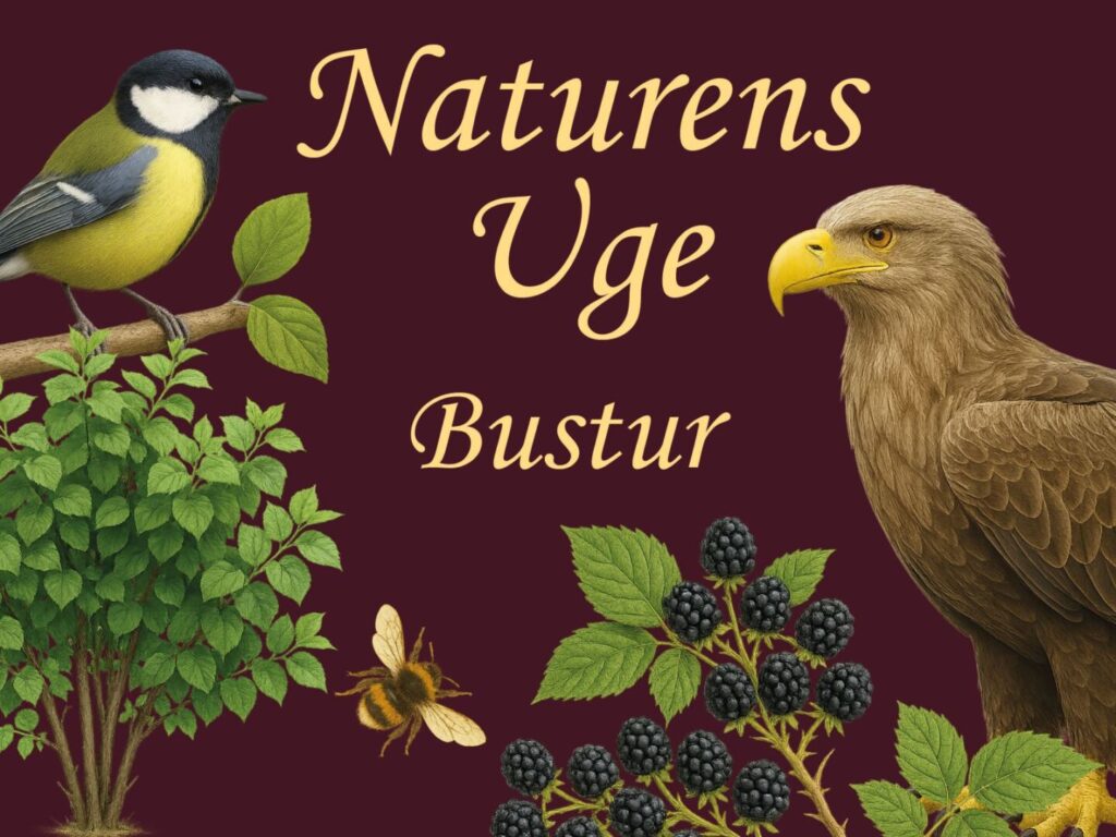 Naturens Uge Bustur