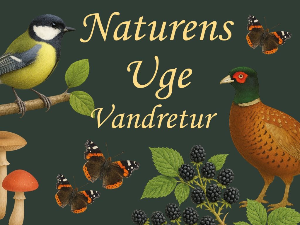Naturens uge Vandretur
