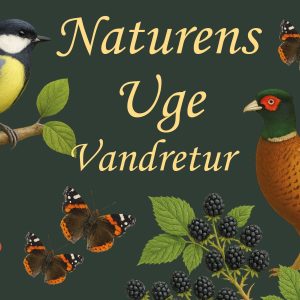 Naturens uge Vandretur