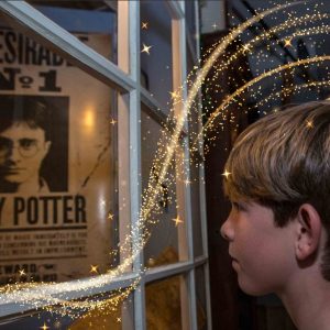 Harry Potters Mystiske Væsner