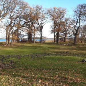 Skejten Naturområde