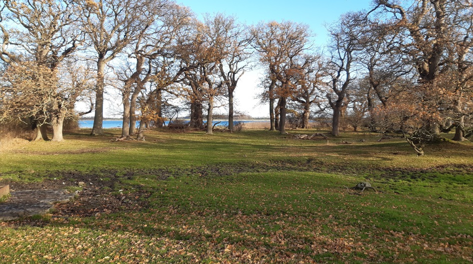 Skejten Naturområde