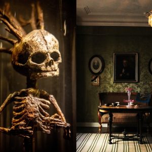 Omvisning i Museum Obscurum