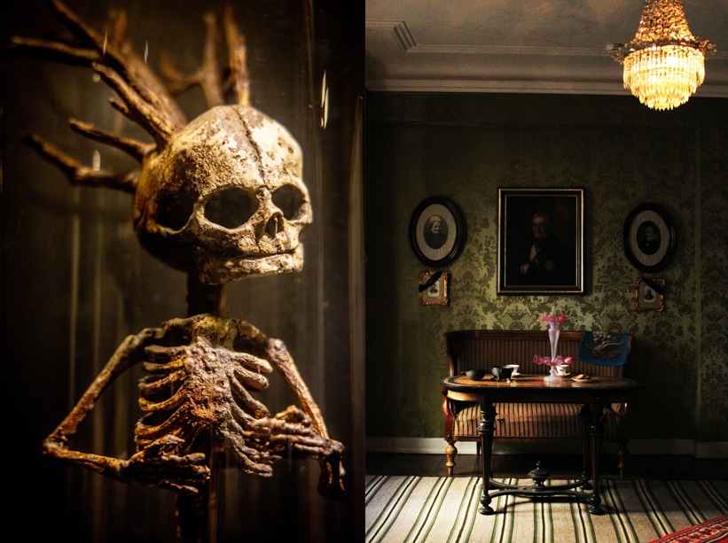 Omvisning i Museum Obscurum