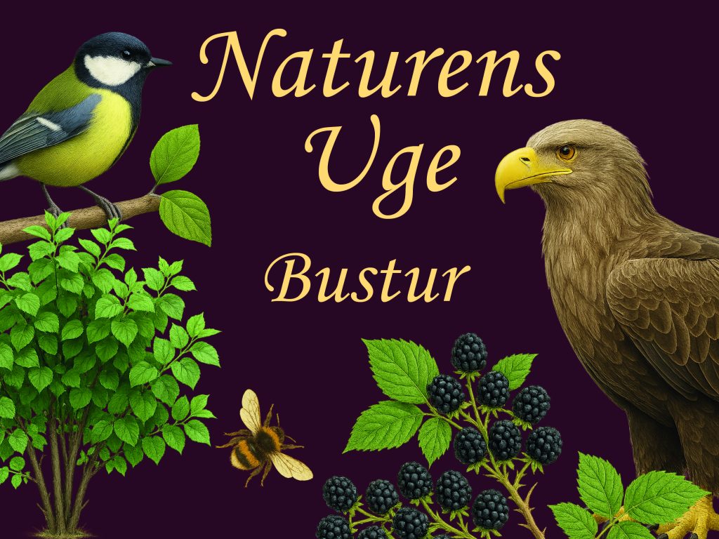 Naturens Uge, Bustur