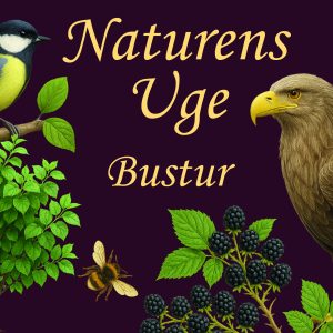 Naturens Uge, Bustur