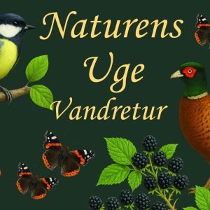 Naturens Uge Vandretur