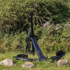 Anker v. Tårs